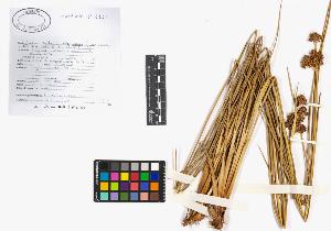 SW_BNB_s3040-02400_IMG-0000000001