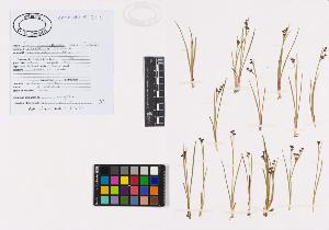 SW_BNB_s3040-02401_IMG-0000000001