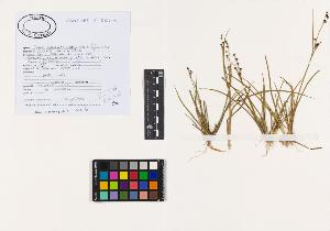 SW_BNB_s3040-02403_IMG-0000000001