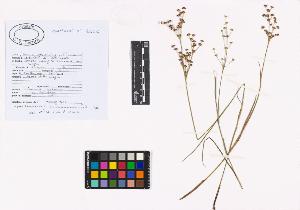 SW_BNB_s3040-02406_IMG-0000000001