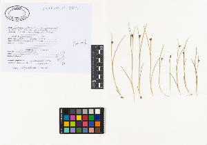 SW_BNB_s3040-02407_IMG-0000000001