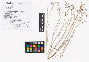 SW_BNB_s3040-02409_IMG-0000000001