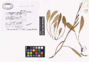 SW_BNB_s3040-02445_IMG-0000000001