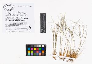 SW_BNB_s3040-02456_IMG-0000000001