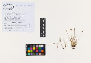 SW_BNB_s3040-02459_IMG-0000000001