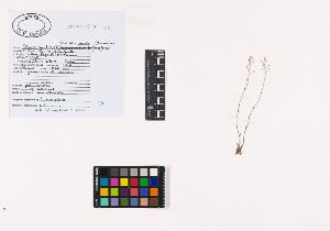 SW_BNB_s3040-02474_IMG-0000000001