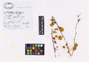 SW_BNB_s3040-02476_IMG-0000000001