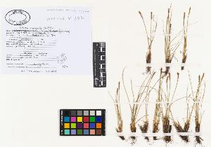 SW_BNB_s3040-02485_IMG-0000000001