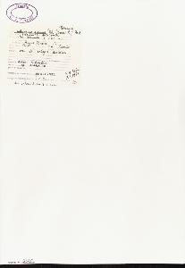 SW_BNB_s3040-02490_IMG-0000000001