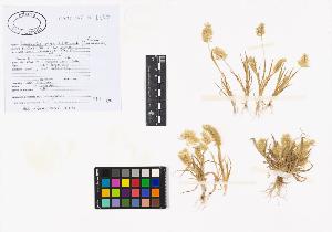 SW_BNB_s3040-02497_IMG-0000000001