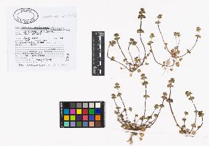 SW_BNB_s3040-02501_IMG-0000000001