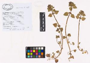 SW_BNB_s3040-02507_IMG-0000000001