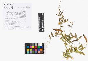 SW_BNB_s3040-02520_IMG-0000000001