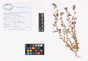 SW_BNB_s3040-02548_IMG-0000000001
