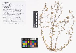 SW_BNB_s3040-02549_IMG-0000000001