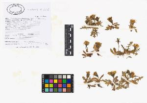 SW_BNB_s3040-02569_IMG-0000000001