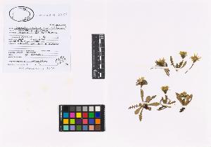 SW_BNB_s3040-02570_IMG-0000000001