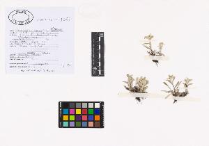 SW_BNB_s3040-02573_IMG-0000000001
