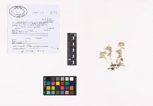 SW_BNB_s3040-02574_IMG-0000000001