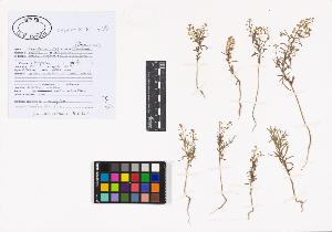 SW_BNB_s3040-02581_IMG-0000000001
