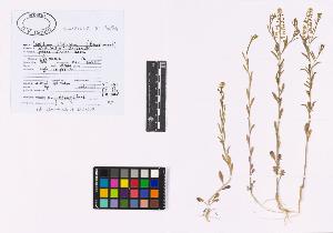 SW_BNB_s3040-02584_IMG-0000000001