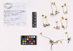 SW_BNB_s3040-02588_IMG-0000000001