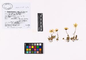 SW_BNB_s3040-02589_IMG-0000000001