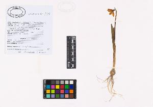 SW_BNB_s3040-02601_IMG-0000000001
