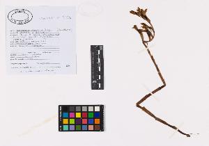 SW_BNB_s3040-02607_IMG-0000000001