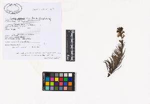 SW_BNB_s3040-02617_IMG-0000000001