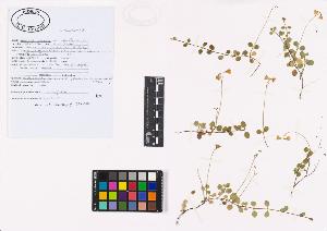 SW_BNB_s3040-02649_IMG-0000000001