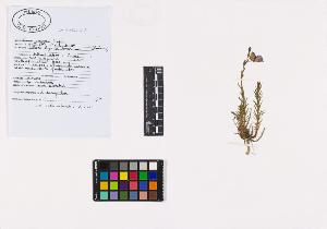 SW_BNB_s3040-02650_IMG-0000000001