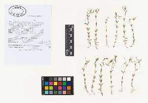 SW_BNB_s3040-02661_IMG-0000000001