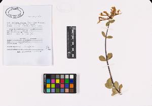 SW_BNB_s3040-02692_IMG-0000000001