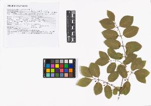 SW_BNB_s3040-02704_IMG-0000000001