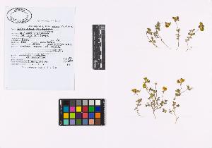 SW_BNB_s3040-02705_IMG-0000000001