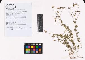 SW_BNB_s3040-02706_IMG-0000000001