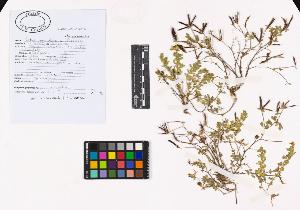 SW_BNB_s3040-02707_IMG-0000000001