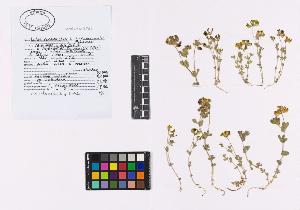 SW_BNB_s3040-02711_IMG-0000000001