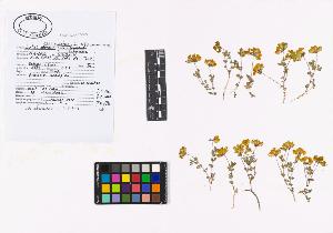 SW_BNB_s3040-02712_IMG-0000000001