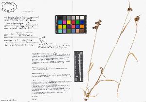 SW_BNB_s3040-02721_IMG-0000000001