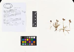 SW_BNB_s3040-02726_IMG-0000000001
