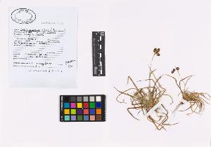 SW_BNB_s3040-02727_IMG-0000000001