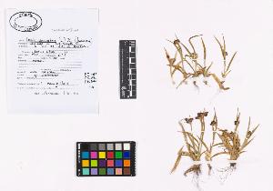 SW_BNB_s3040-02729_IMG-0000000001