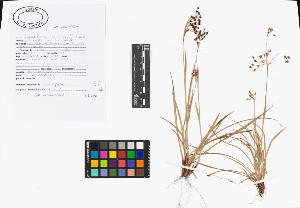 SW_BNB_s3040-02732_IMG-0000000001