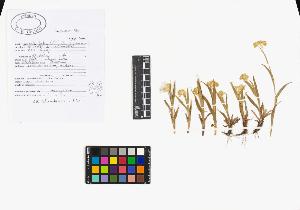 SW_BNB_s3040-02734_IMG-0000000001