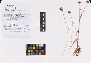 SW_BNB_s3040-02738_IMG-0000000001