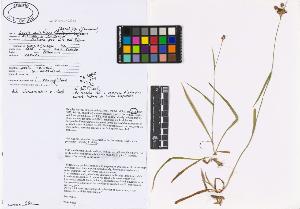 SW_BNB_s3040-02740_IMG-0000000001