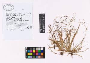 SW_BNB_s3040-02751_IMG-0000000001