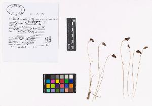 SW_BNB_s3040-02755_IMG-0000000001